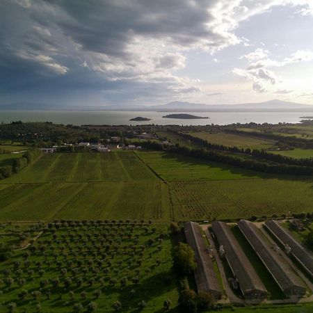 Tra Lago E Collina Passignano sul Trasimeno Luaran gambar