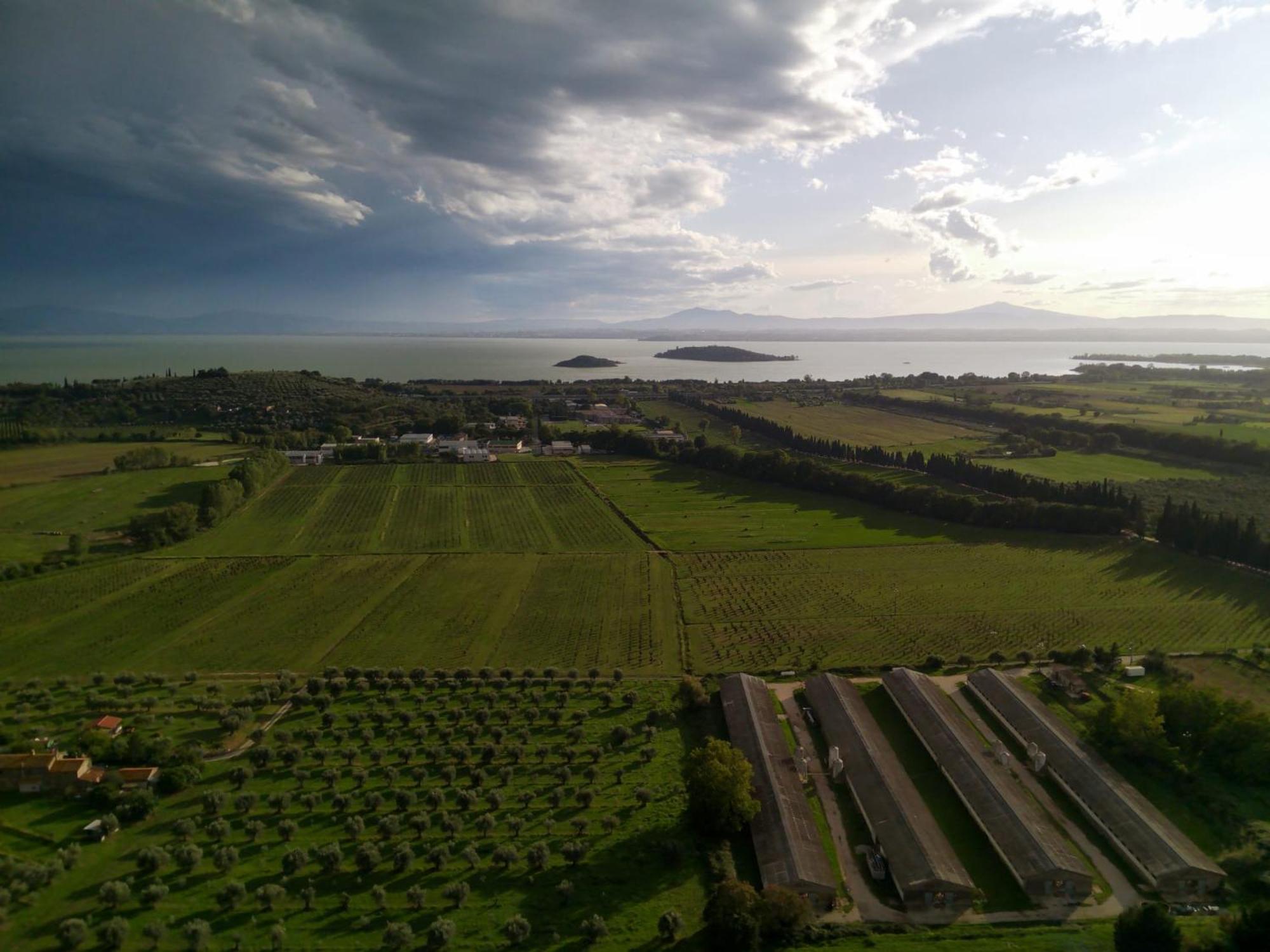 Tra Lago E Collina Passignano sul Trasimeno Luaran gambar